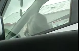 საოჯახო საიდუმლოებები