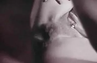 მიიღეთ ყველაფერი! მე დადებს, რომ არ შევეცადე დიქტომი